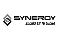 Logo Synergy