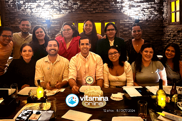 Vitateam 2024