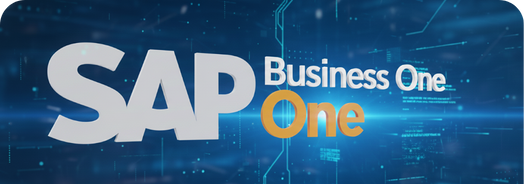 integraciones-SAP-vitamina-online