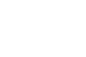 Shopify Plus Partner Mexico