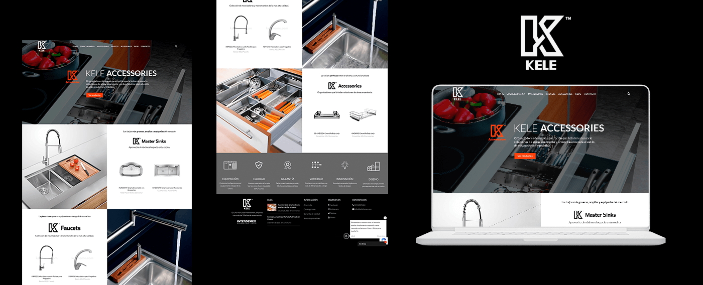 Caso de Exito : Pagina Web con Catalogo de Productos